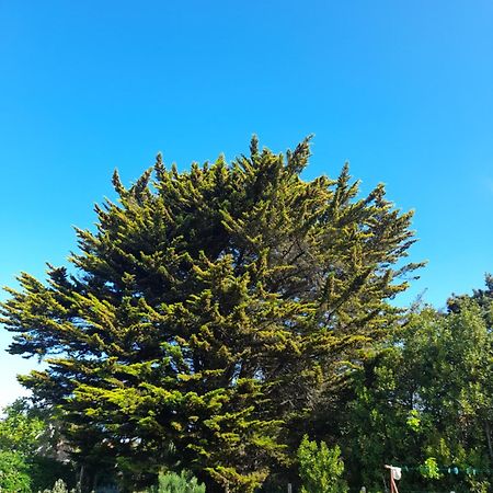 Le Stud' à Saint Pierre d'Oléron ! Apartamento Quarto foto